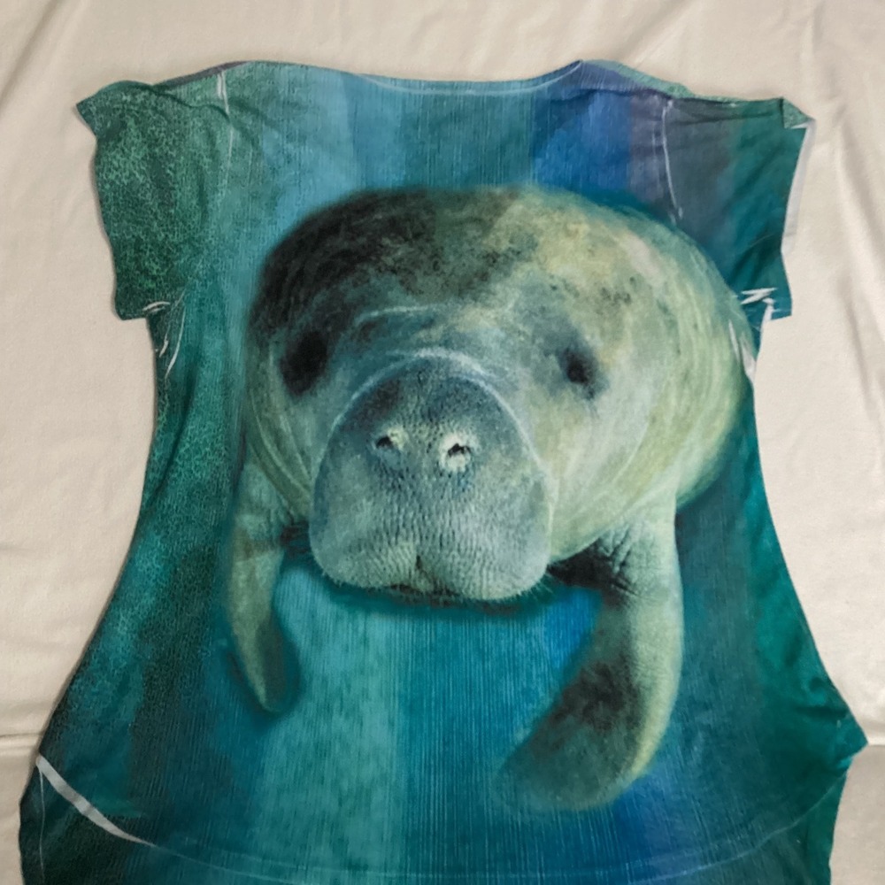Sunshirt Womens Blue Manatee Graphic Tee Rhinestone V-Neck Short Sleeve Top L - Picture 9 of 9